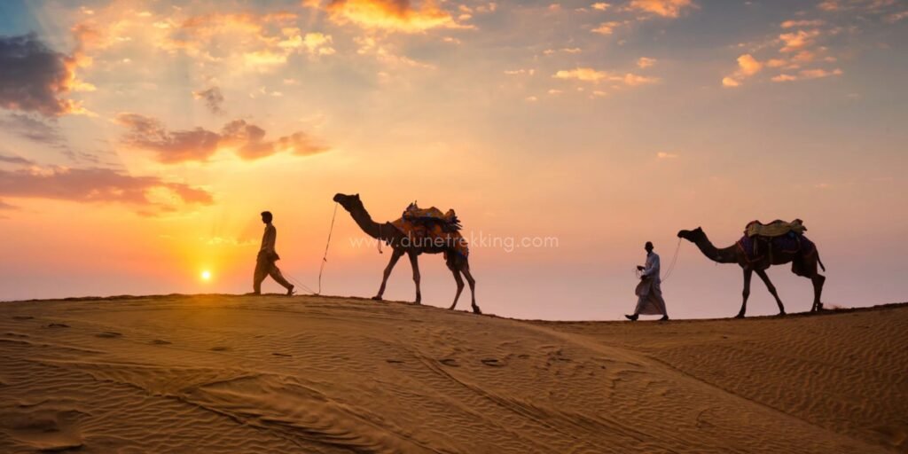 Sleep Under a Million Stars - dunetrekking (1)